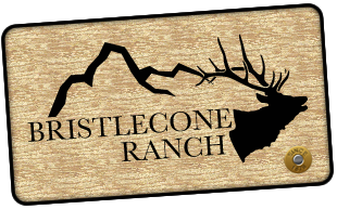 BristleCone Ranch Logo