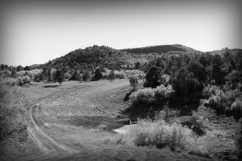 Bristlecone Ranch History