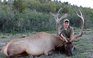 Bull Elk Aug 14 2013